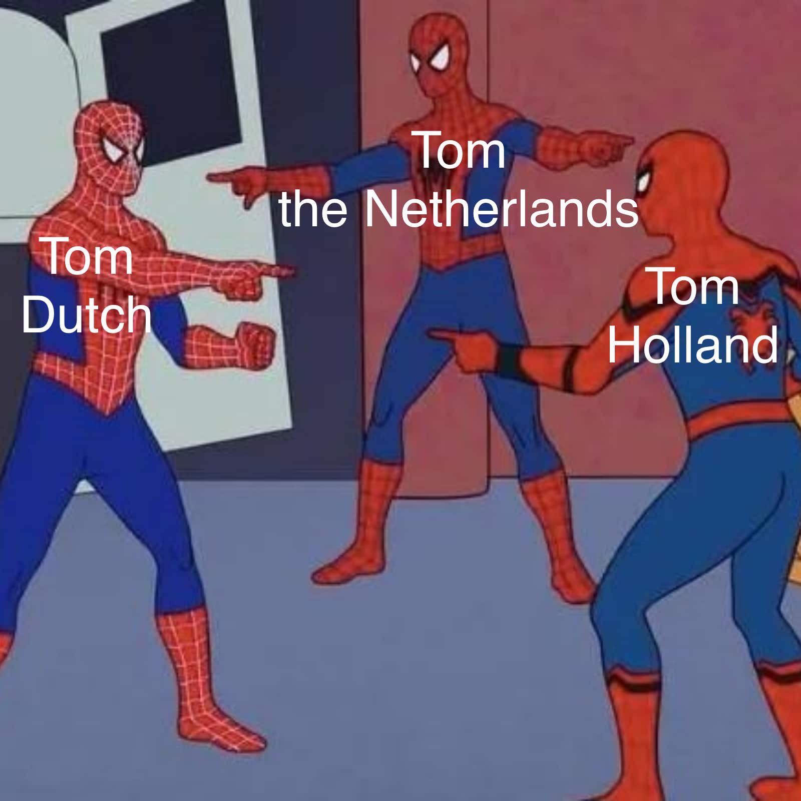 spider man pointing meme - Tom the Netherlands Tom Dutch Tom Holland