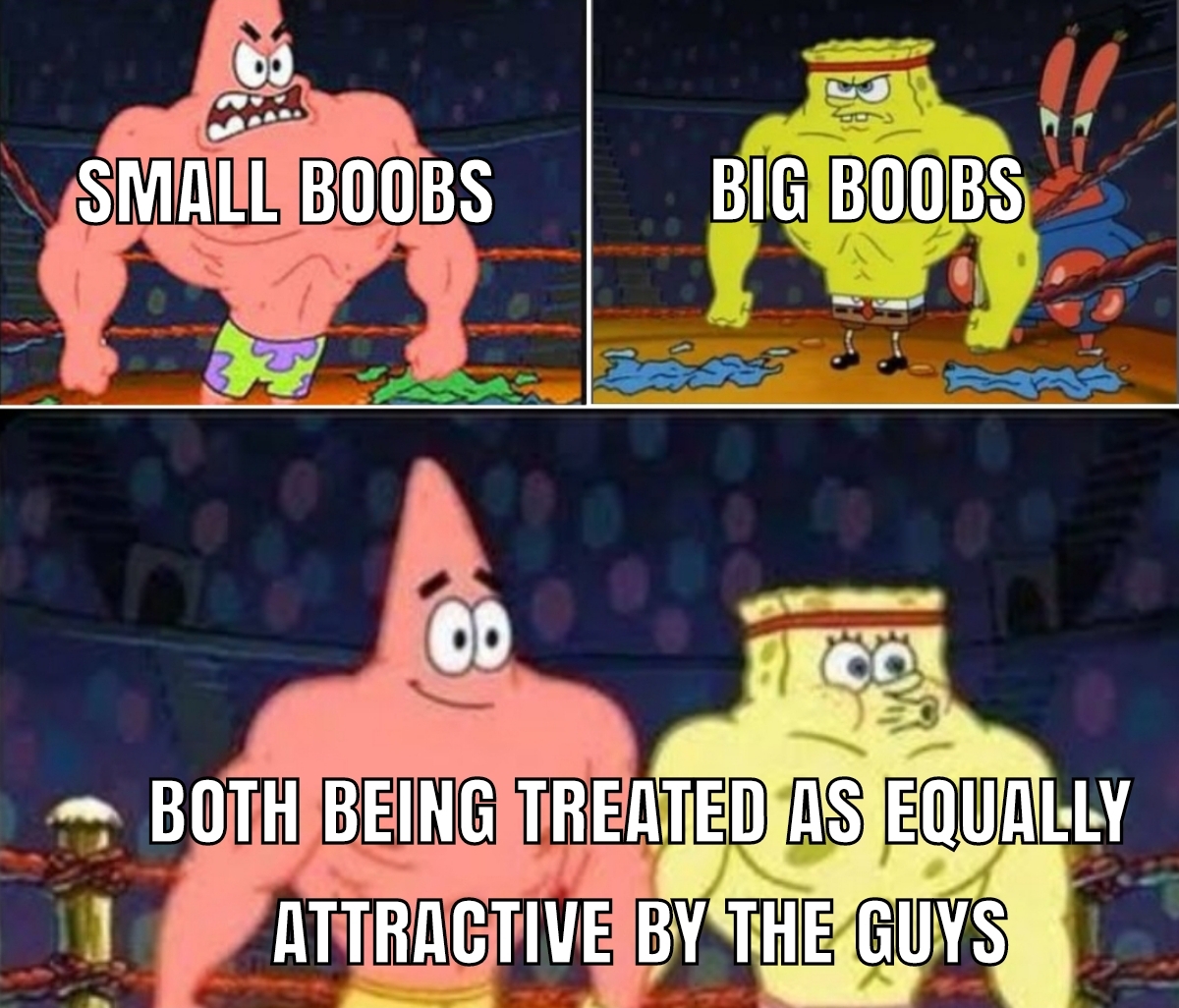 compromise meme - Small Boobs Big Boobs Both Being Treated As Equally Attractive By The Guys