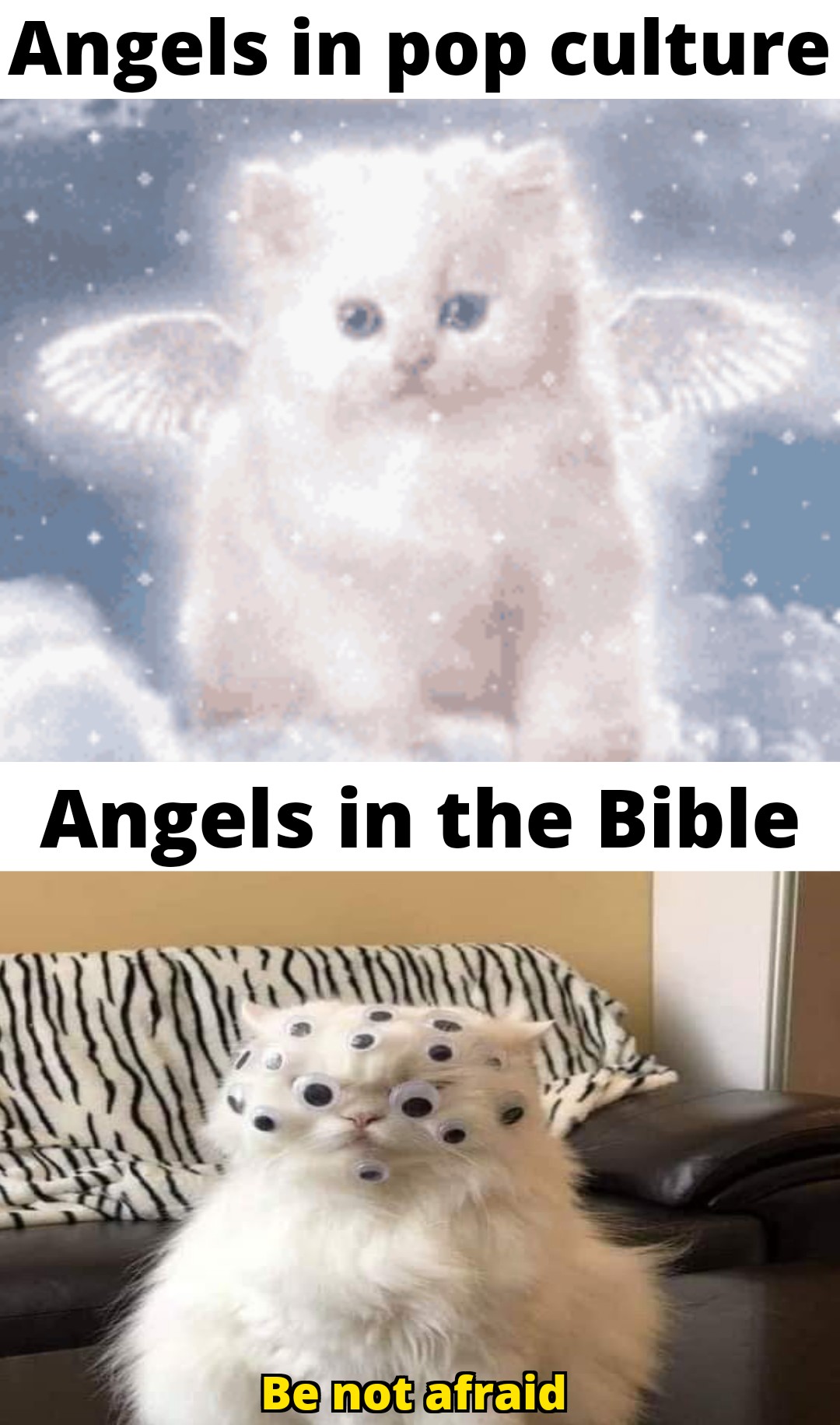 all cats go to heaven - Angels in pop culture Angels in the Bible Be not afraid