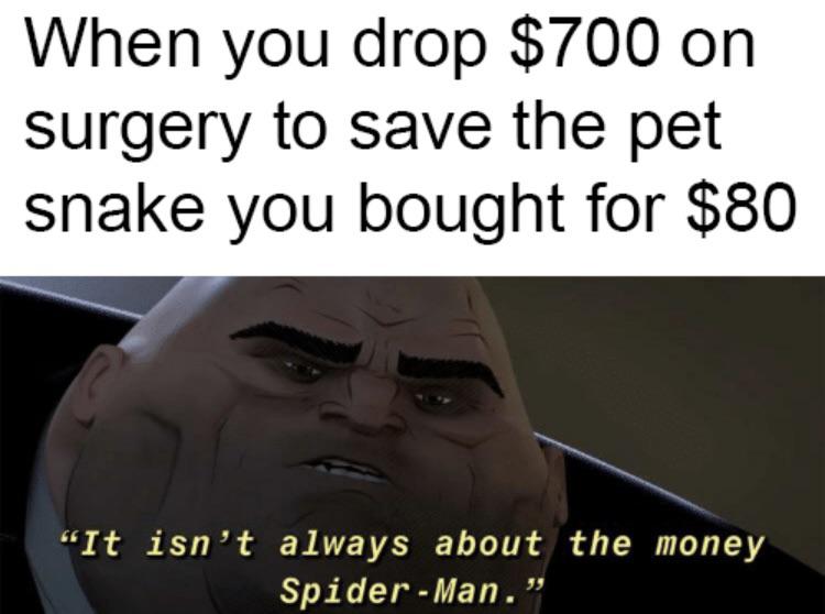 head - When you drop $700 on surgery to save the pet snake you bought for $80 "It isn't always about the money SpiderMan.