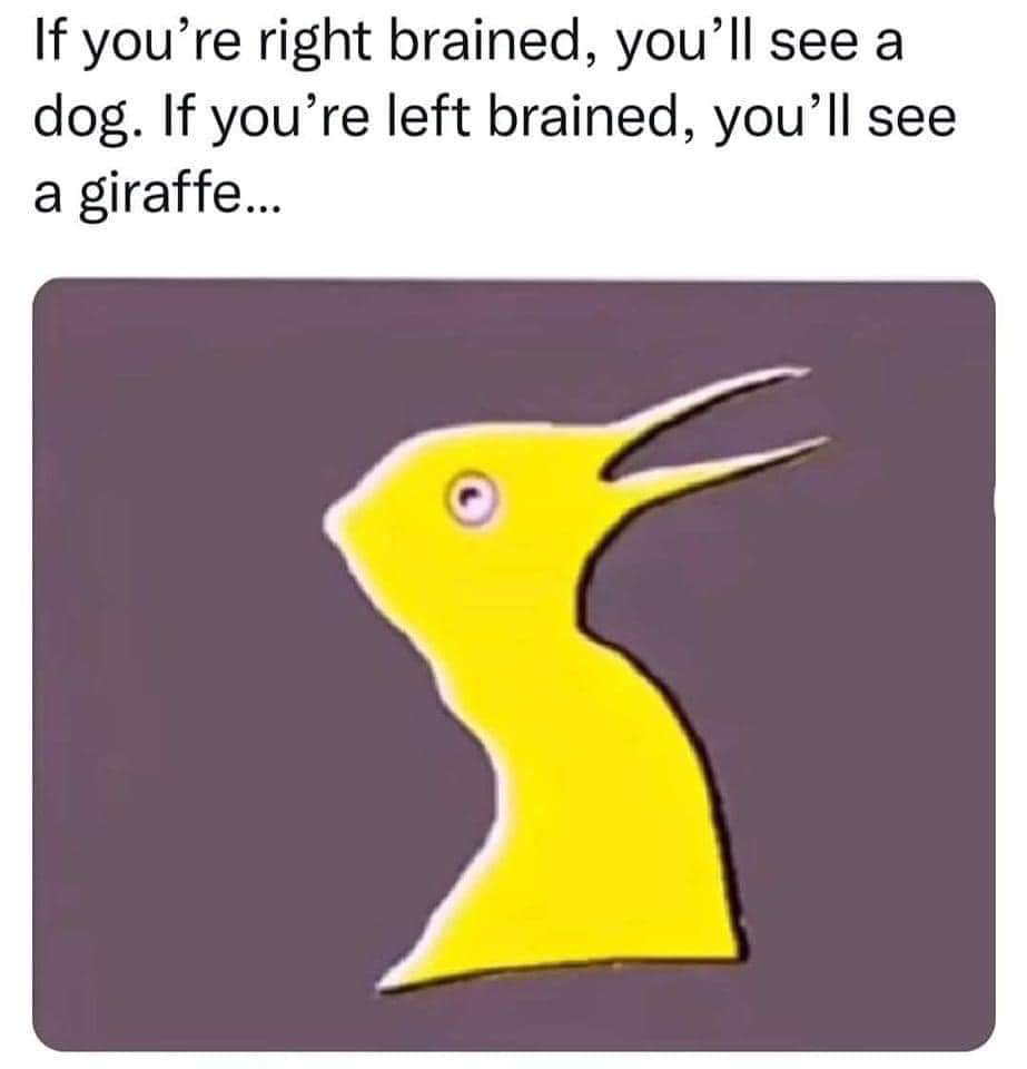 funny memes - dank memes - beak - If you're right brained, you'll see a dog. If you're left brained, you'll see a giraffe...