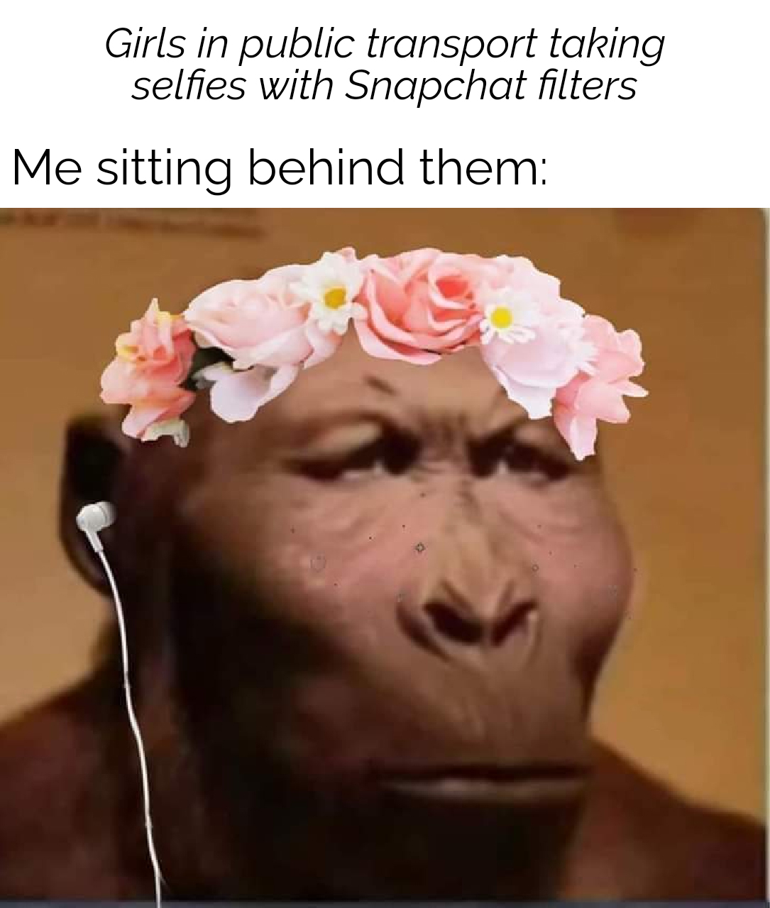 p robustus - Girls in public transport taking selfies with Snapchat filters Me sitting behind them