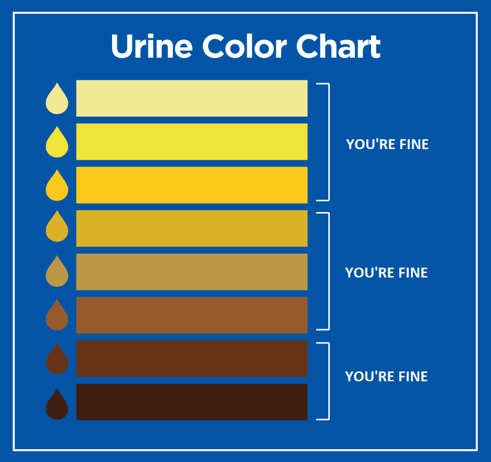 Urine Color Chart You'Re Fine You'Re Fine You'Re Fine