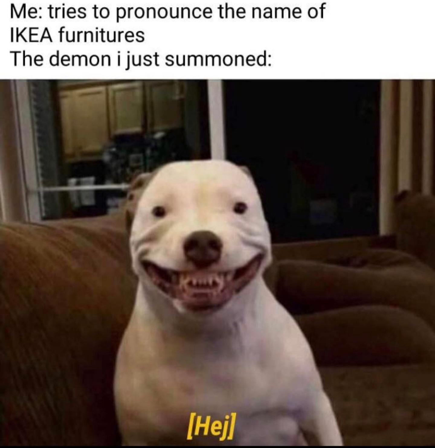 messes up in latin class - Me tries to pronounce the name of Ikea furnitures The demon i just summoned Hej