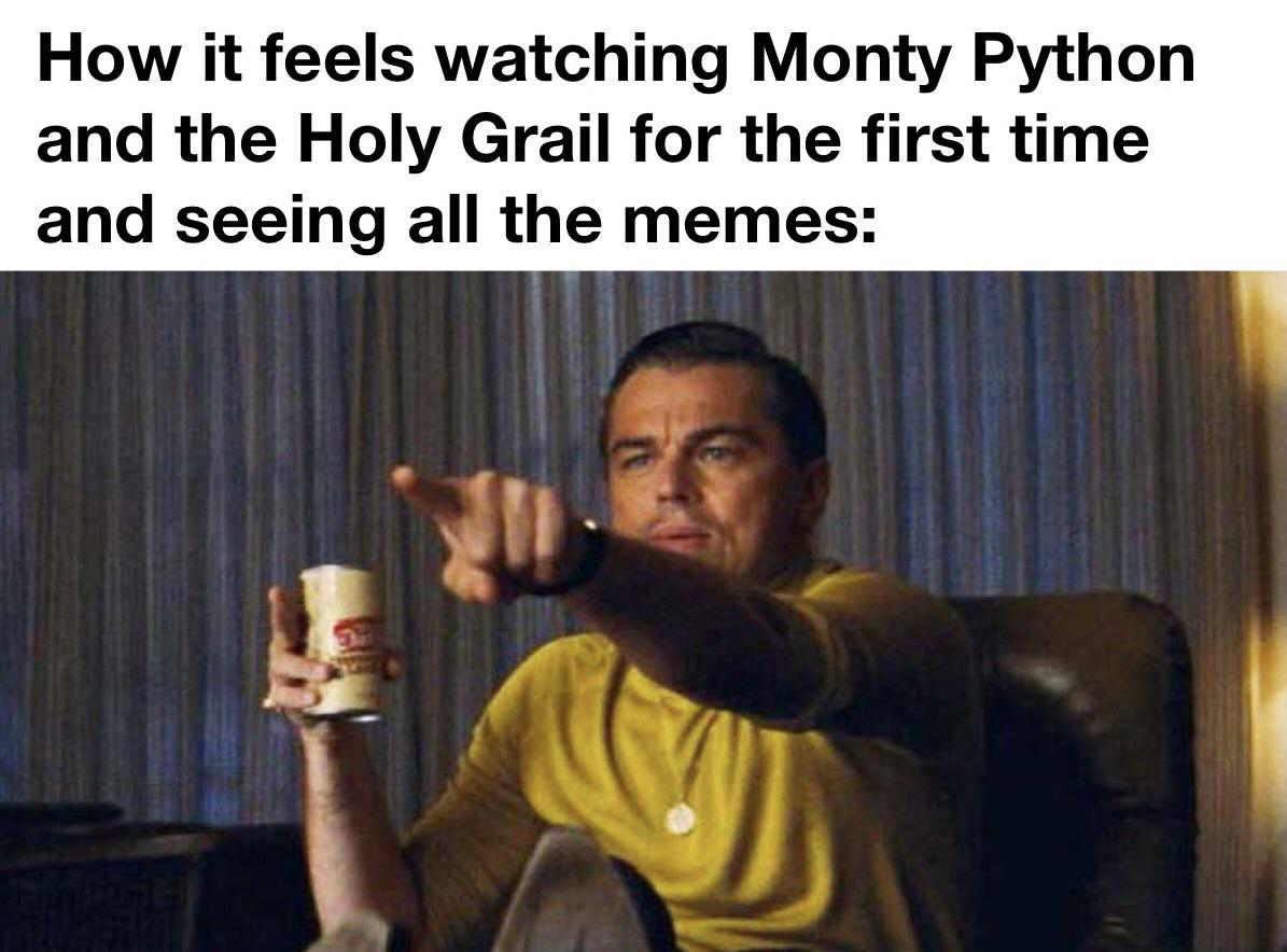 cobra kai memes - How it feels watching Monty Python and the Holy Grail for the first time and seeing all the memes