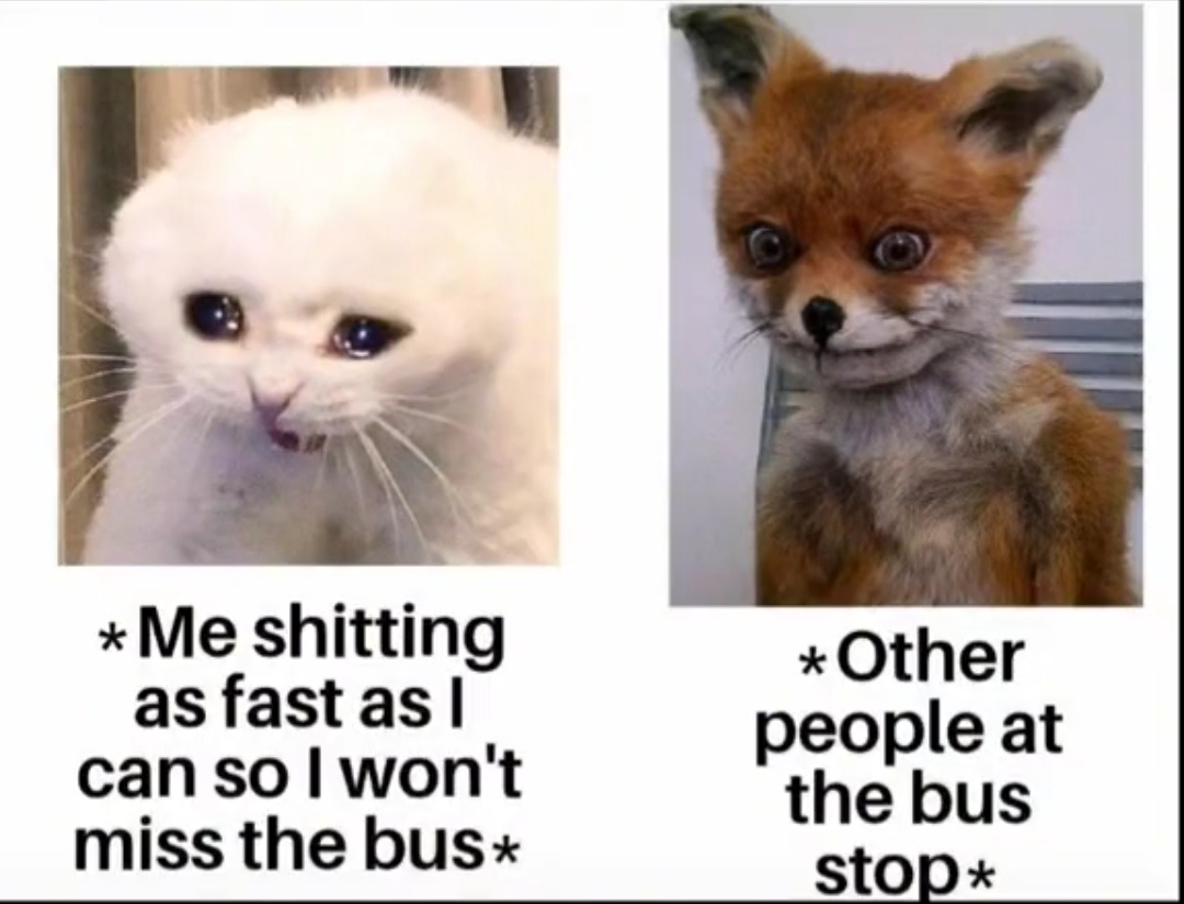 damen laurent memes - Me shitting as fast as I can so I won't miss the bus Other people at the bus stop