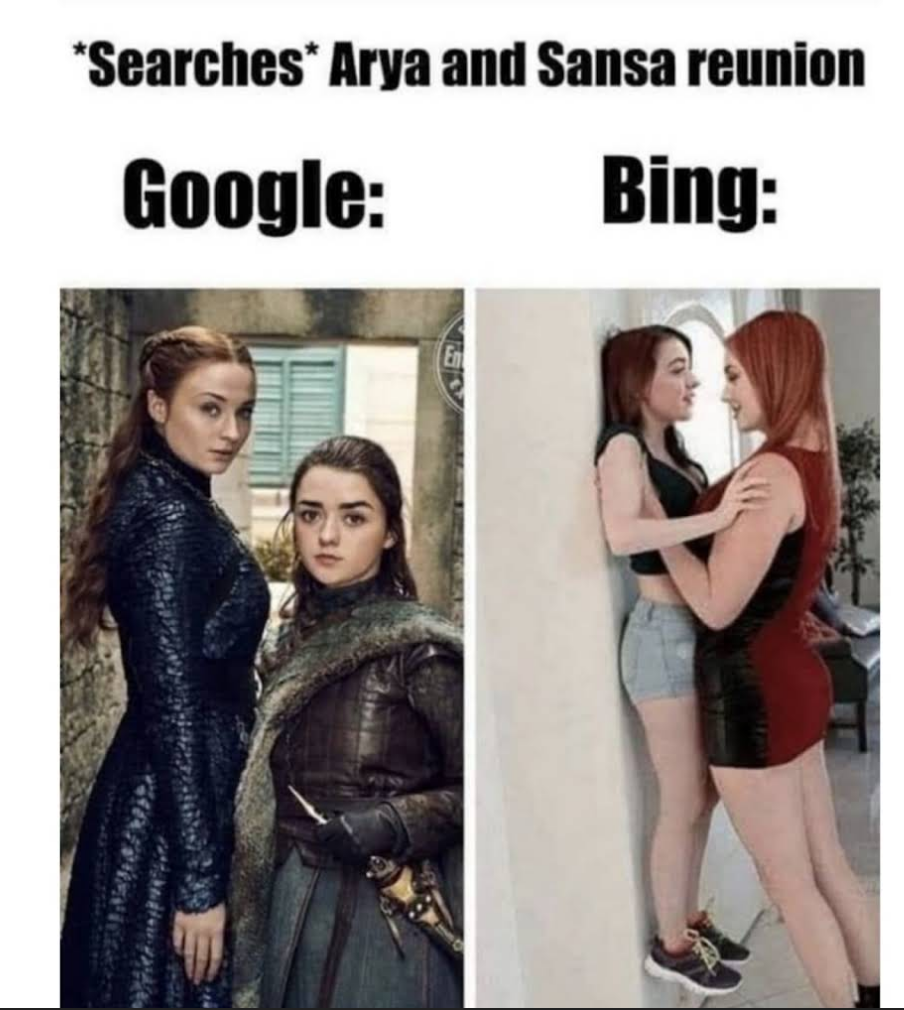 Arya and sansa reunion bing