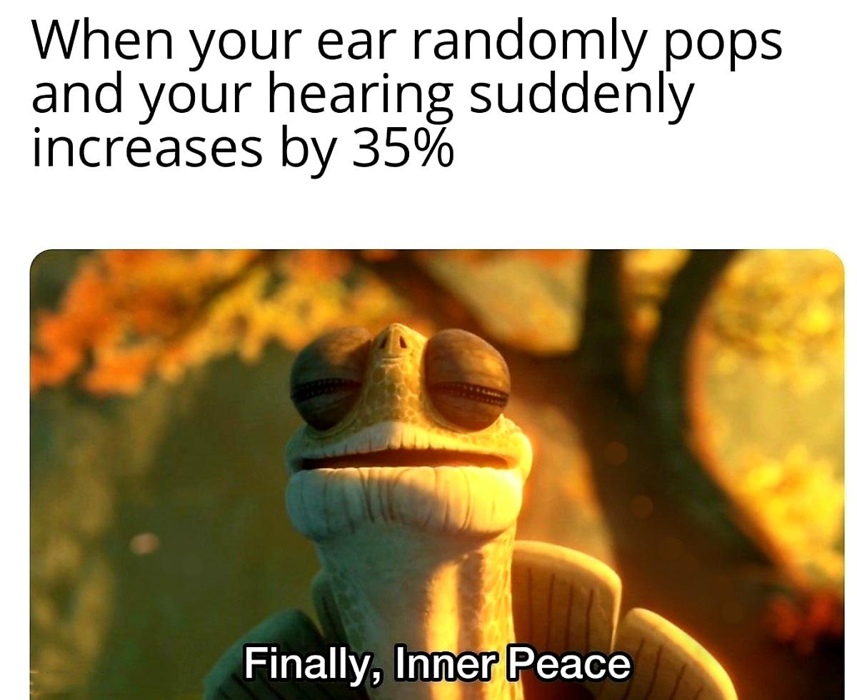 finally inner peace meme - When your ear randomly pops and your hearing suddenly increases by 35% Finally, Inner Peace