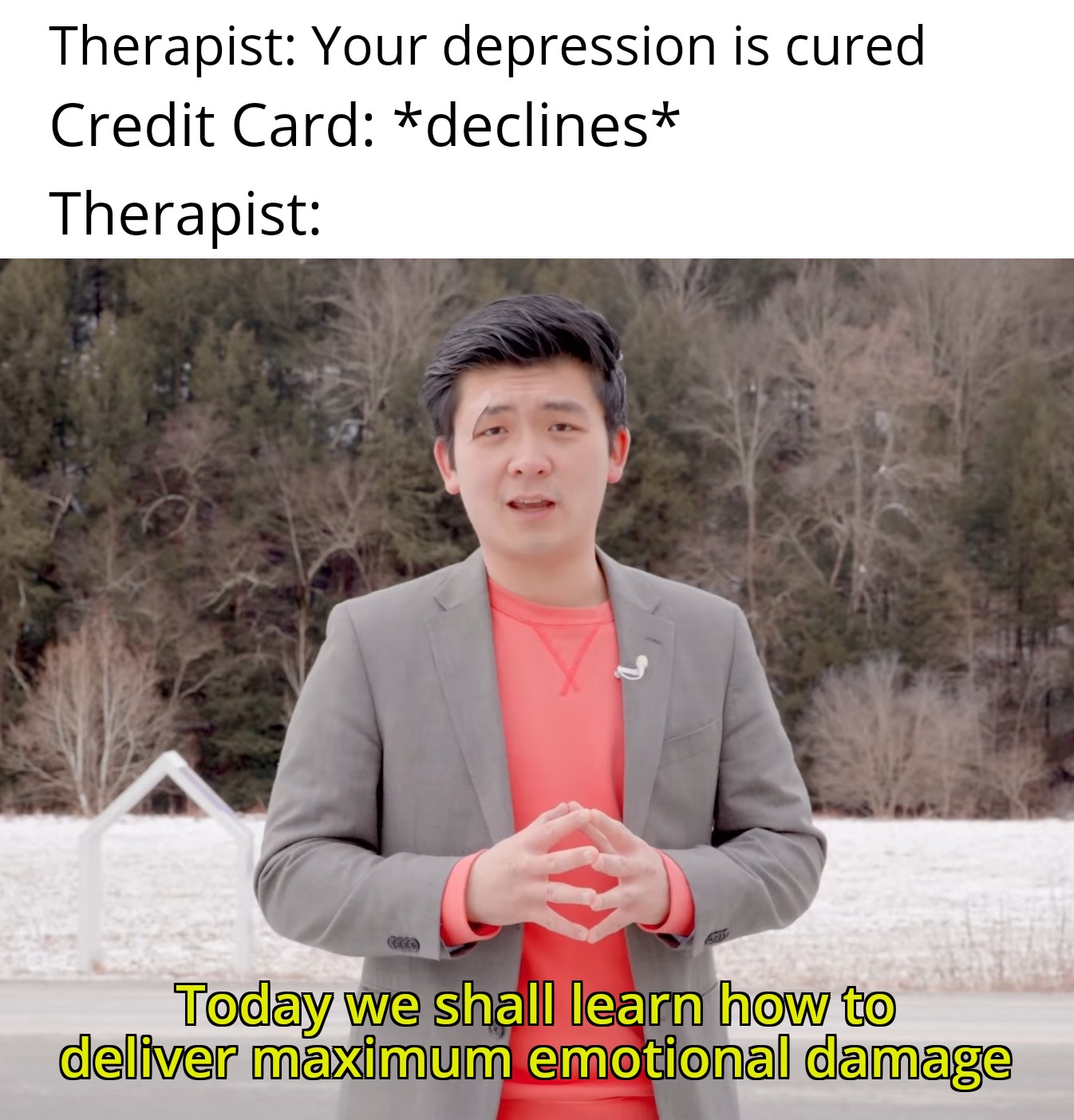 dank memes - funny memes - photo caption - Therapist Your depression is cured Credit Card declines Therapist Today we shall learn how to deliver maximum emotional damage
