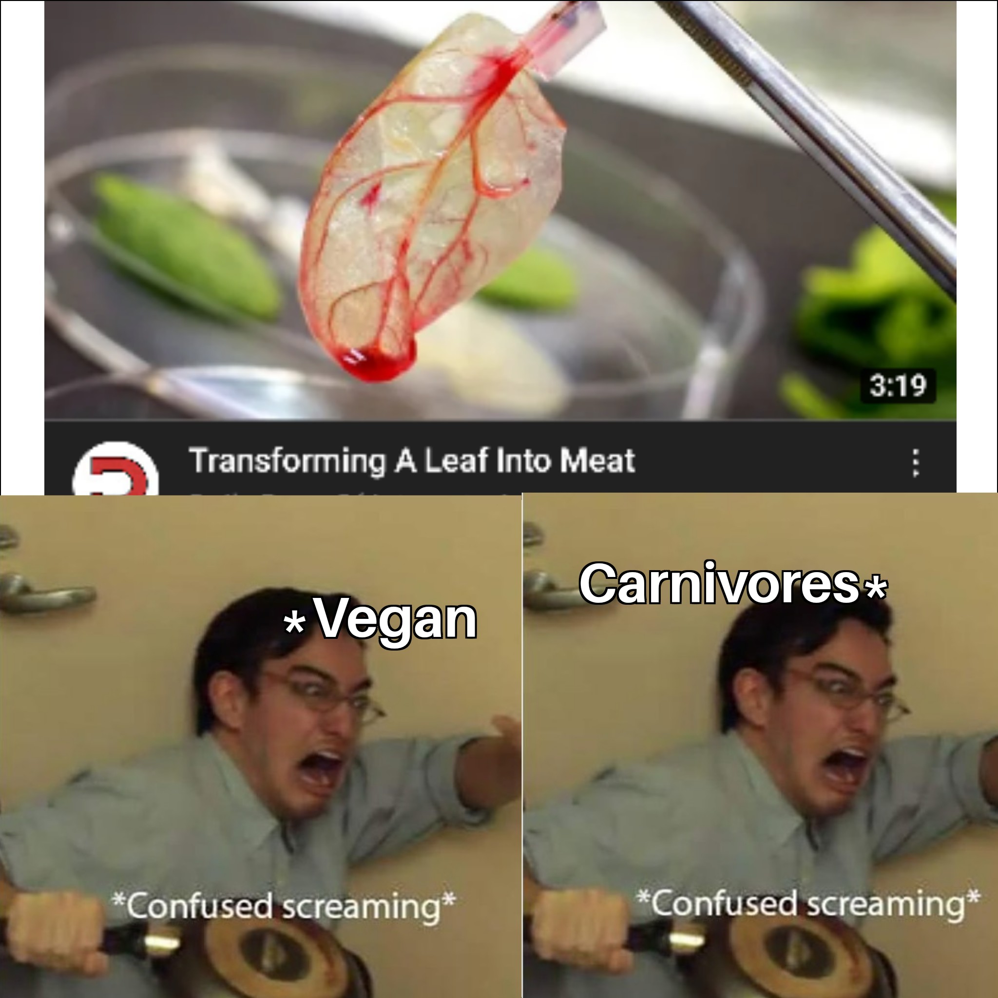 dank memes - funny memes - turntables memes - Transforming A Leaf Into Meat Carnivores Vegan Confused screaming Confused screaming