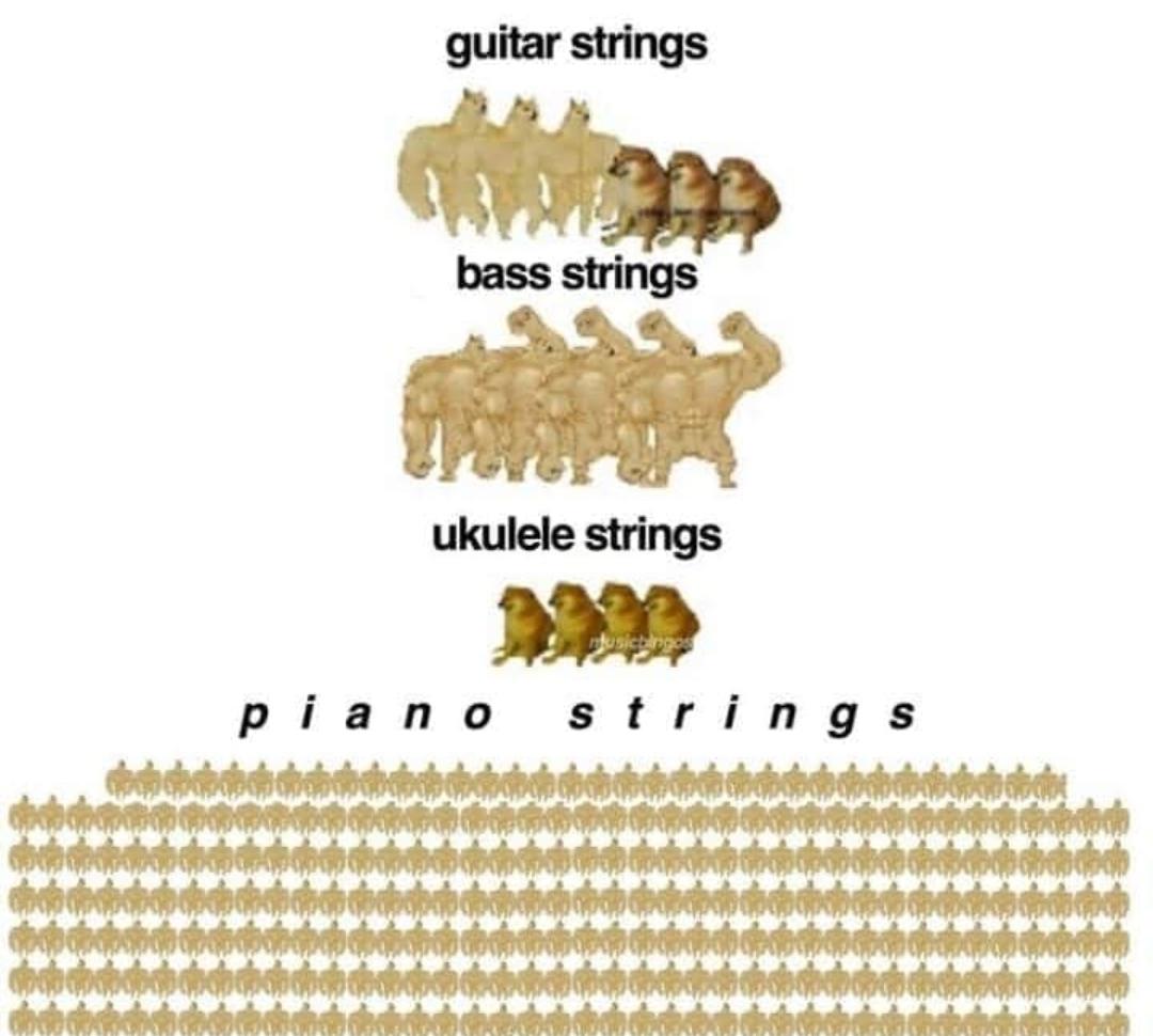 dank memes - funny memes - guitar strings bass strings ukulele strings meme - guitar strings bass strings ukulele strings susirgos piano strings