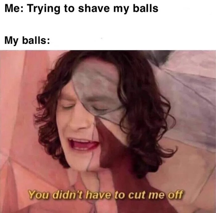 dank memes - funny memes - now you just somebody that i used - Me Trying to shave my balls My balls You didn't have to cut me off