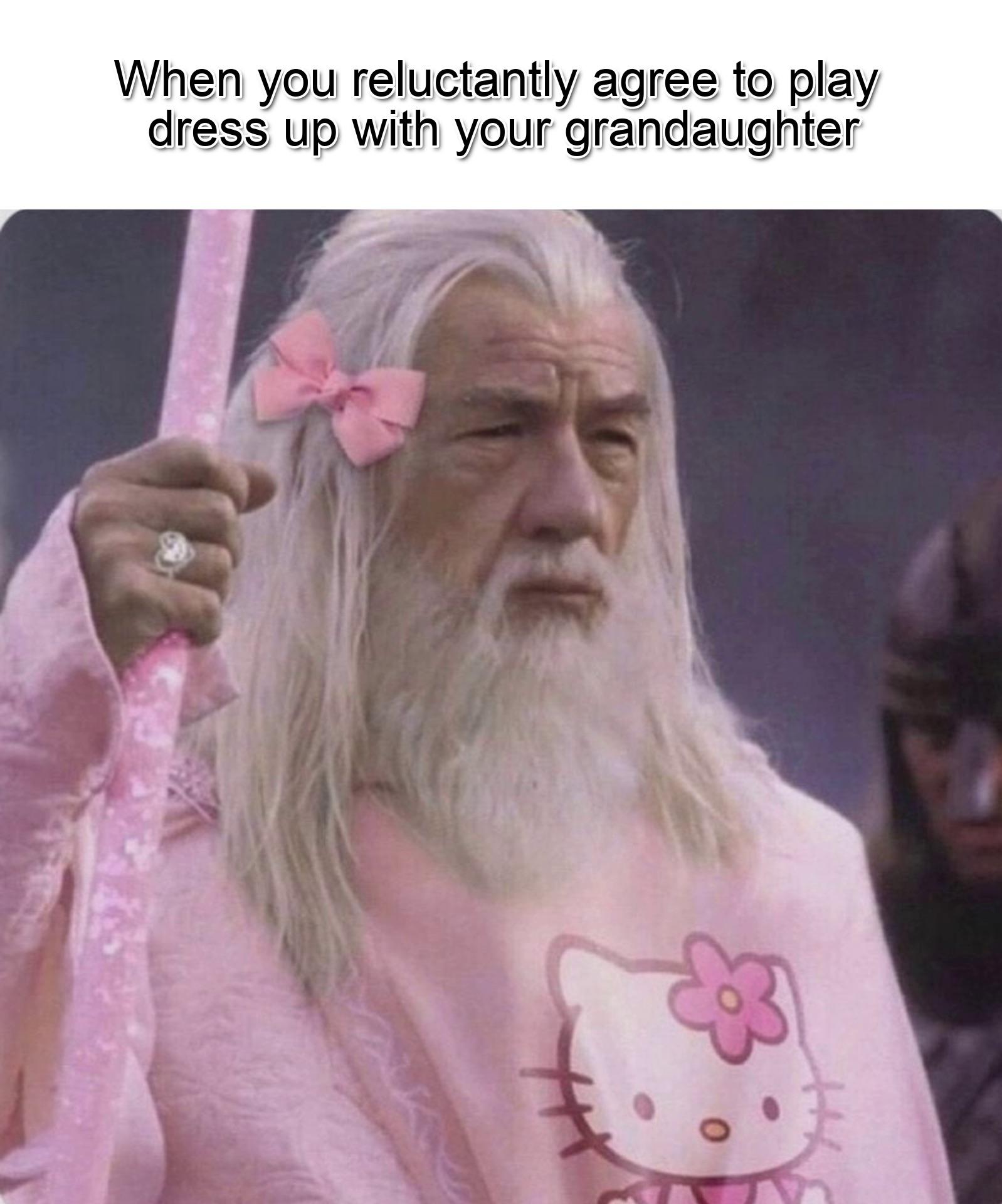 dank memes - funny memes - lord of the rings gandalf - When you reluctantly agree to play dress up with your grandaughter