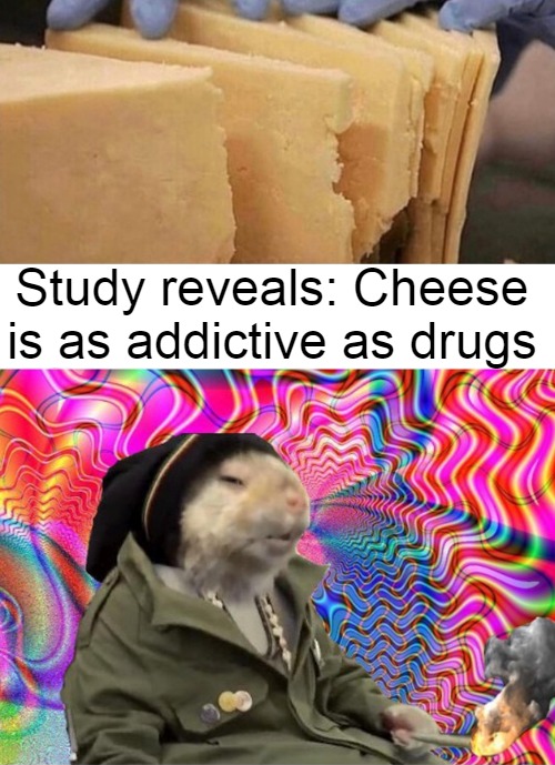 dank memes - funny memes - dank memes 2021 memes clean - Study reveals Cheese is as addictive as drugs