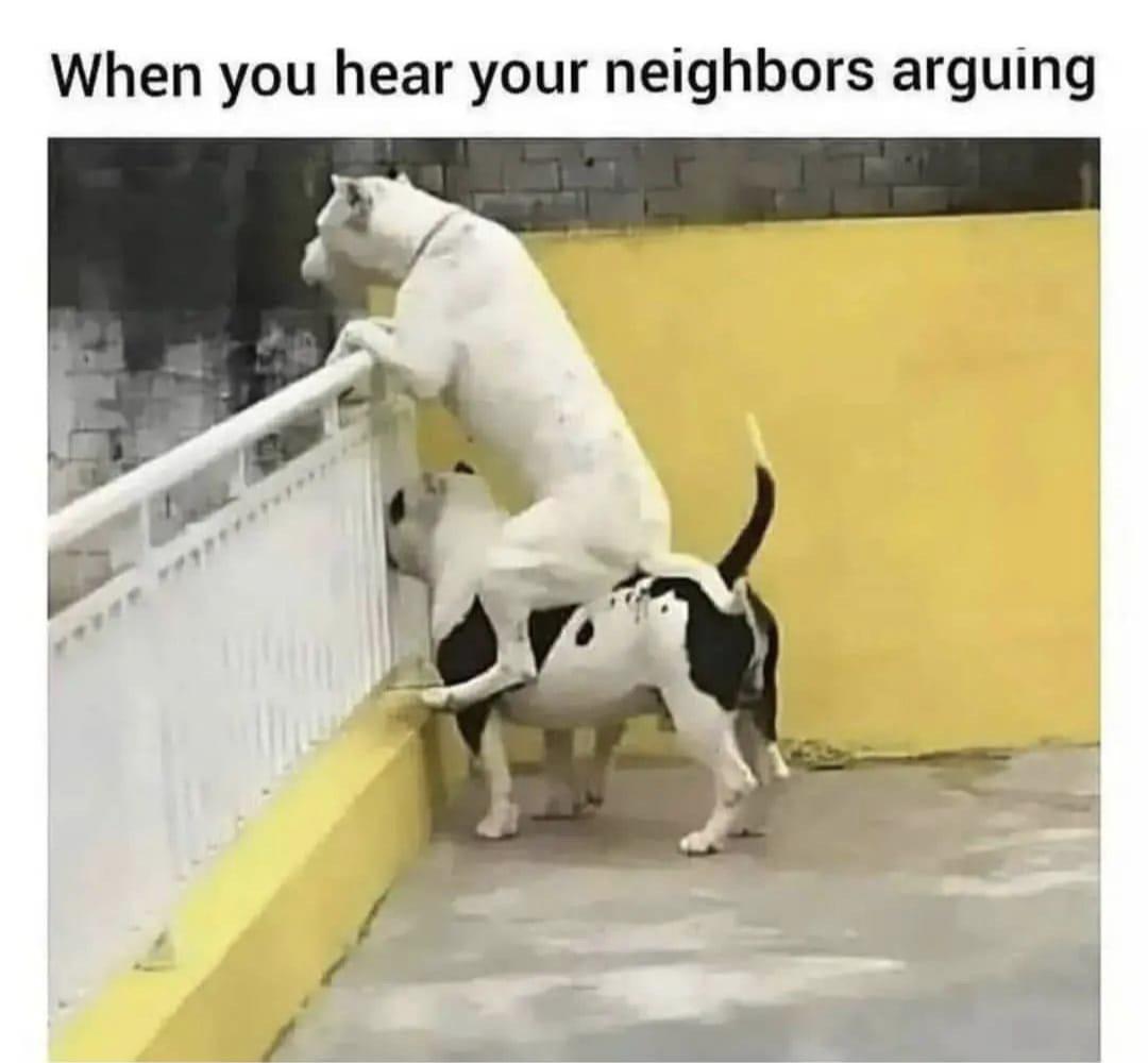 dank memes - funny memes - When you hear your neighbors arguing