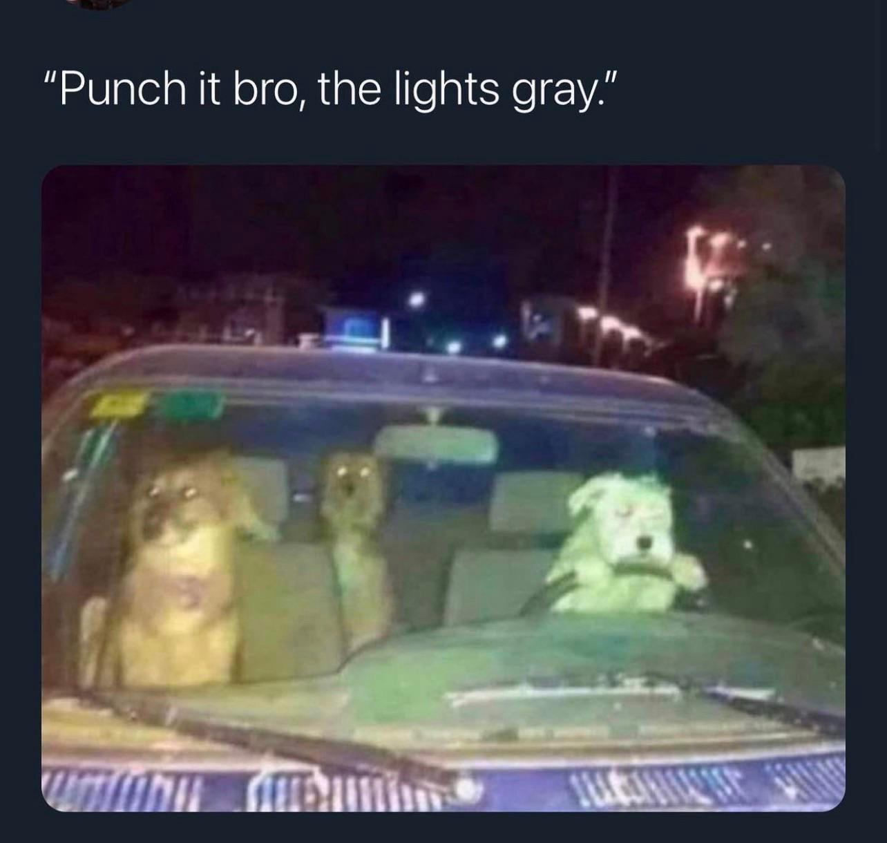 punch it bro the lights grey - "Punch it bro, the lights gray."