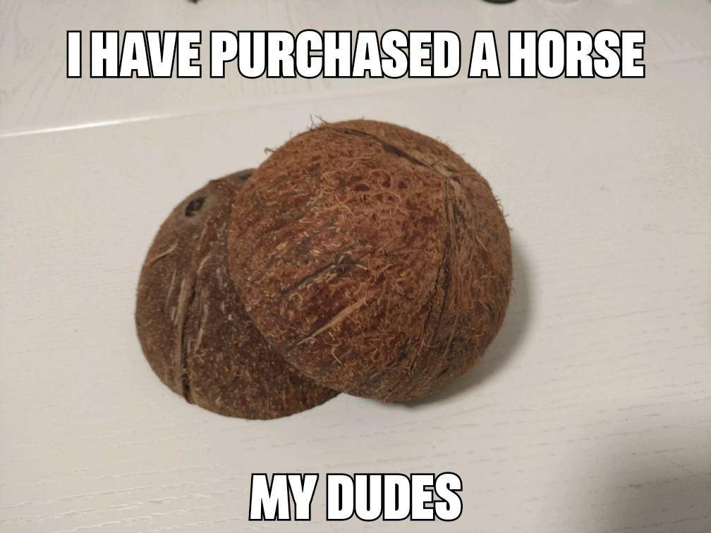 christina aguilera meme - I Have Purchased A Horse My Dudes