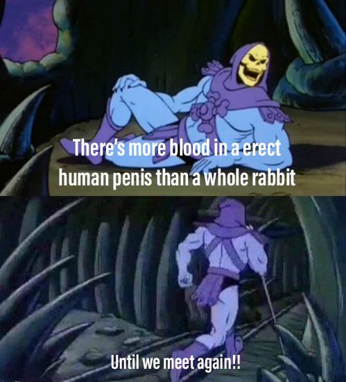 skeletor meme template - There's more blood in a erect human penis than a whole rabbit Until we meet again!!