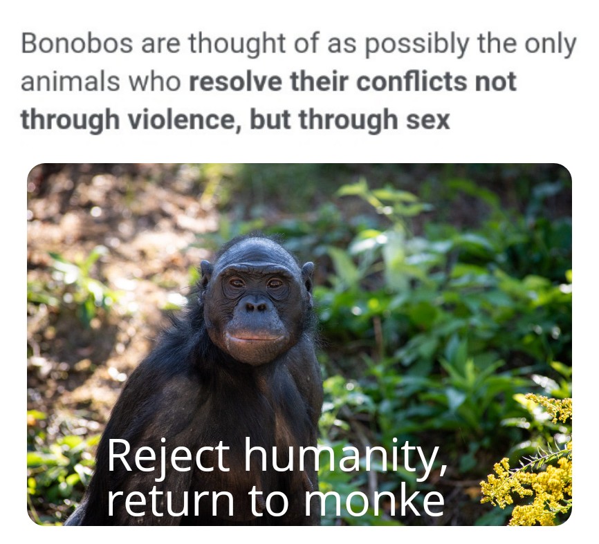 fauna - Bonobos are thought of as possibly the only animals who resolve their conflicts not through violence, but through sex Reject humanity, return to monke