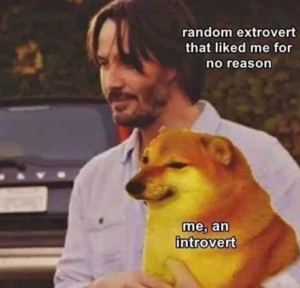 introvert and extrovert meme - random extrovert that d me for no reason me, an introvert
