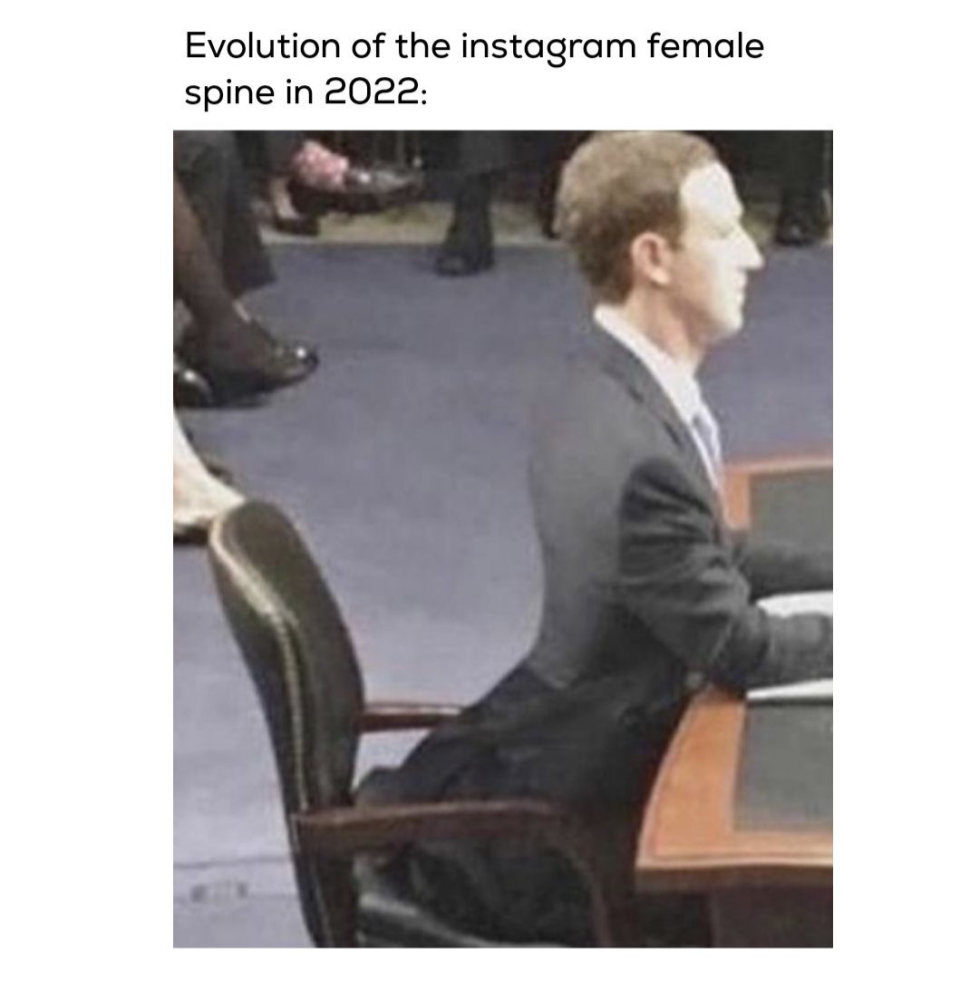 mark zuckerberg slim thick - Evolution of the instagram female spine in 2022