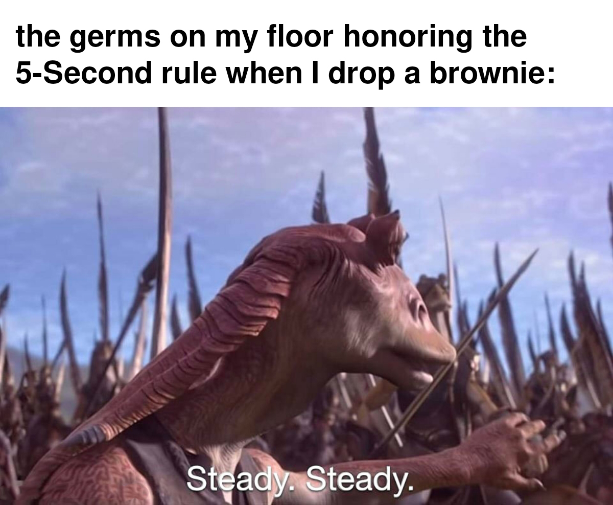 5 second rule jar jar - the germs on my floor honoring the 5Second rule when I drop a brownie Steady Steady.