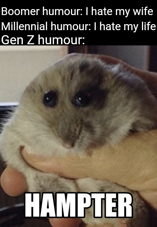 hamster reddit - Boomer humour I hate my wife Millennial humour I hate my life Gen Z humour Hampter