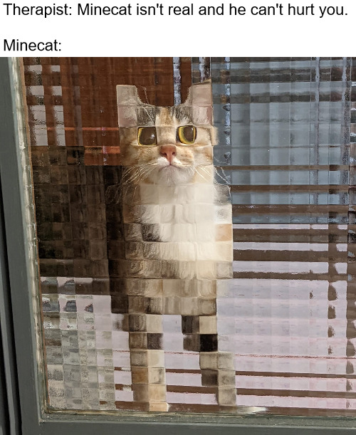 Cat - Therapist Minecat isn't real and he can't hurt you. Minecat