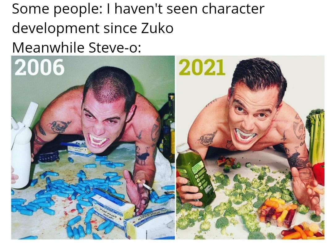 steve o 13 years sober - Some people I haven't seen character development since Zuko Meanwhile Steveo 2006 2021