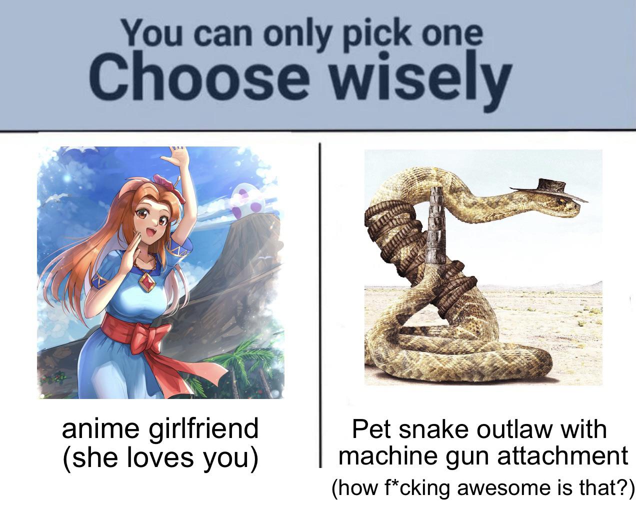 you can only pick one choose wisely - You can only pick one Choose wisely anime girlfriend she loves you Pet snake outlaw with machine gun attachment how fcking awesome is that?