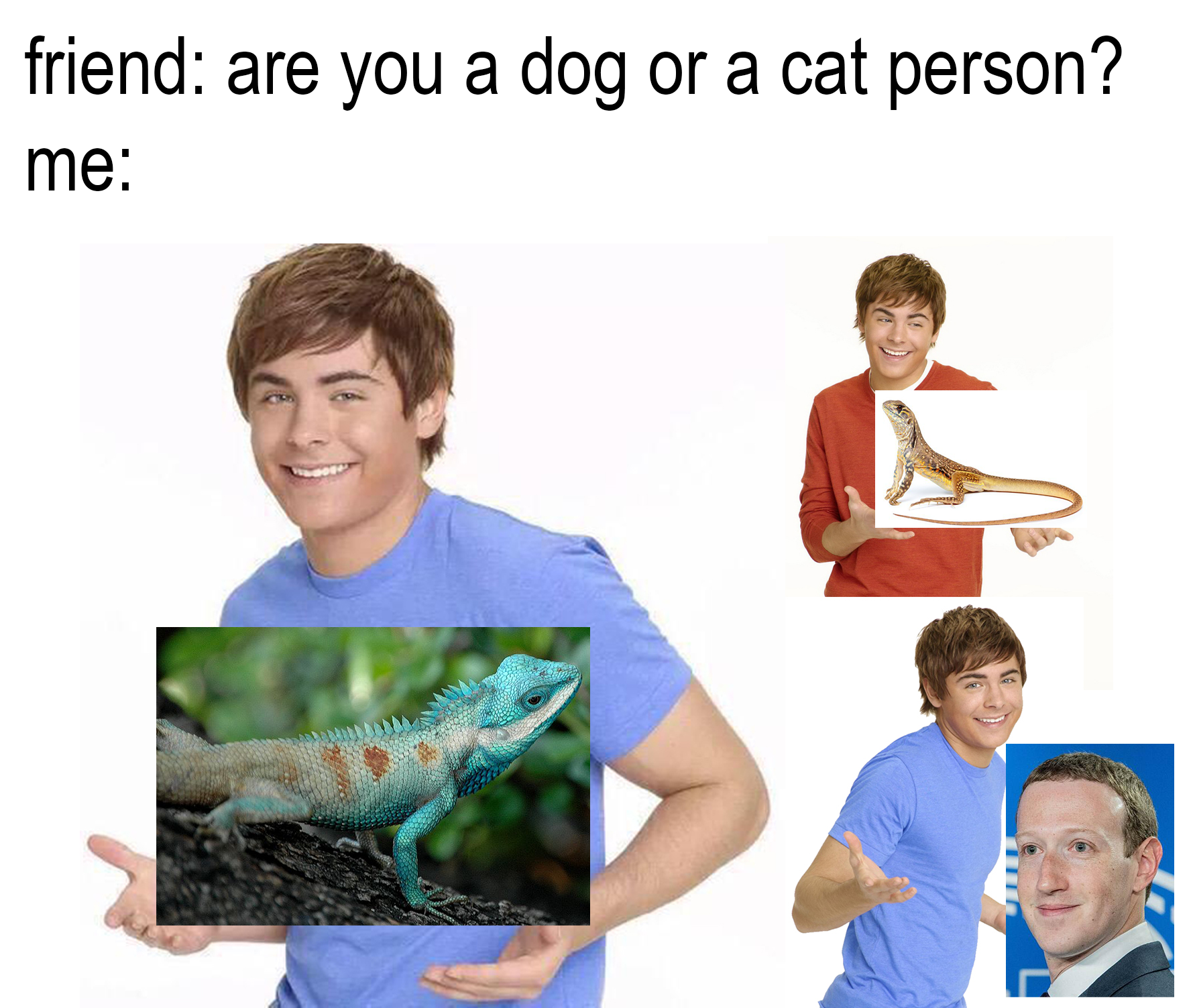 dank memes - dnd memes - friend are you a dog or a cat person? me