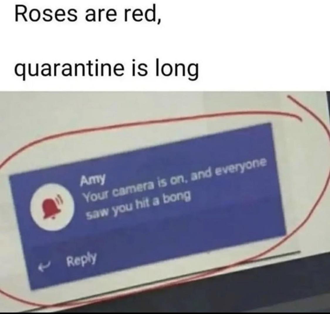 dank memes - roses are red quarantine is long your camera is on - Roses are red, quarantine is long Amy Your camera is on, and everyone saw you hit a bong