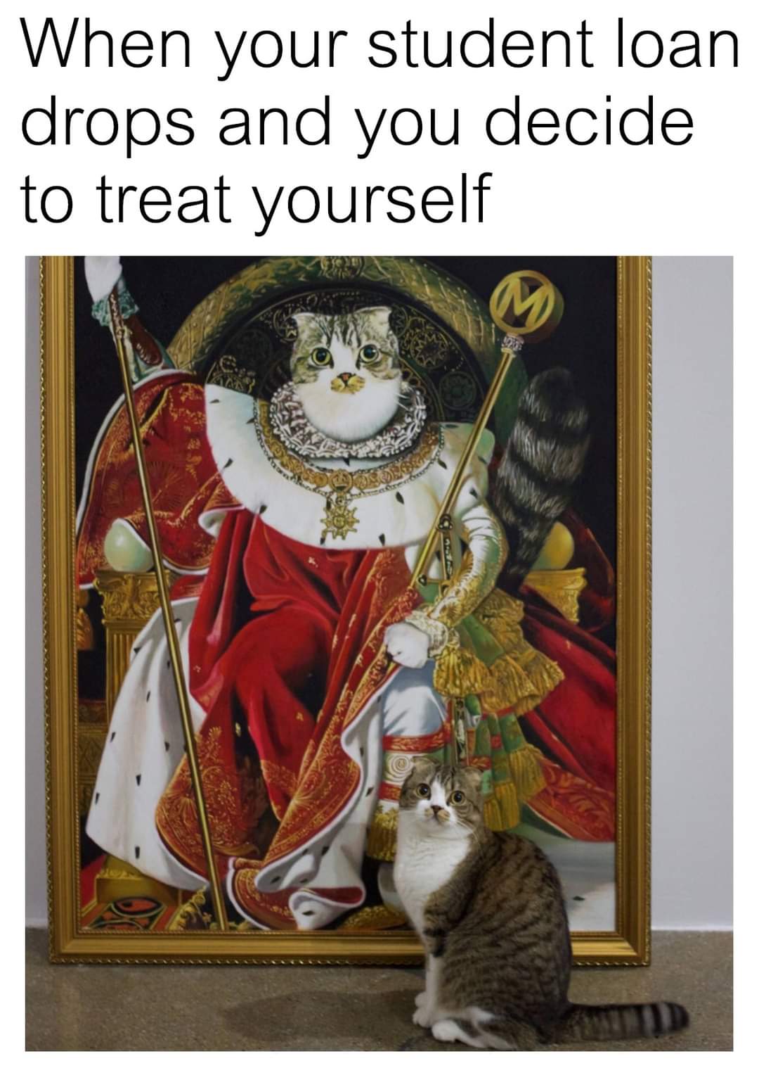 dank memes - funny memes - cat art memes - When your student loan drops and you decide to treat yourself M .