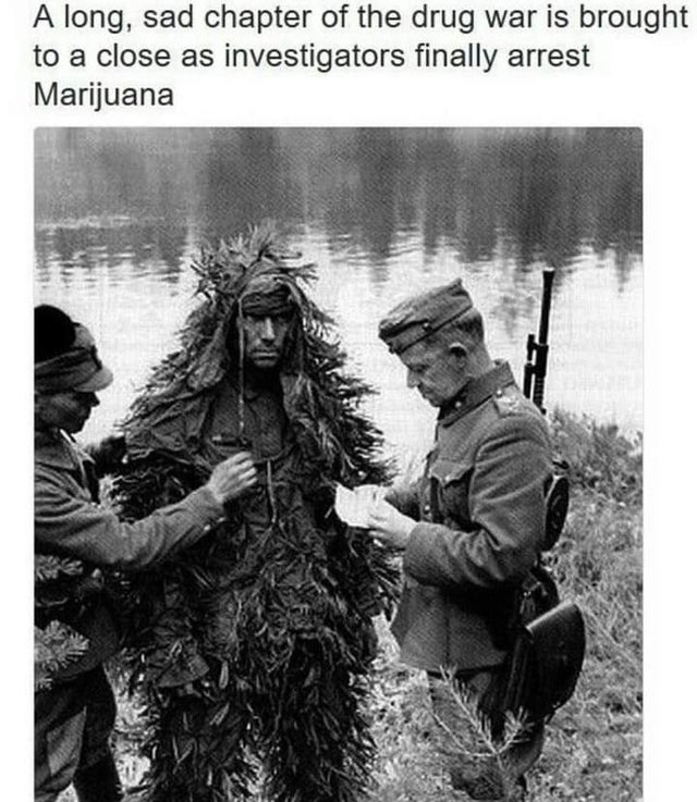 dank memes - funny memes - police finally arrest marijuana - A long, sad chapter of the drug war is brought to a close as investigators finally arrest Marijuana