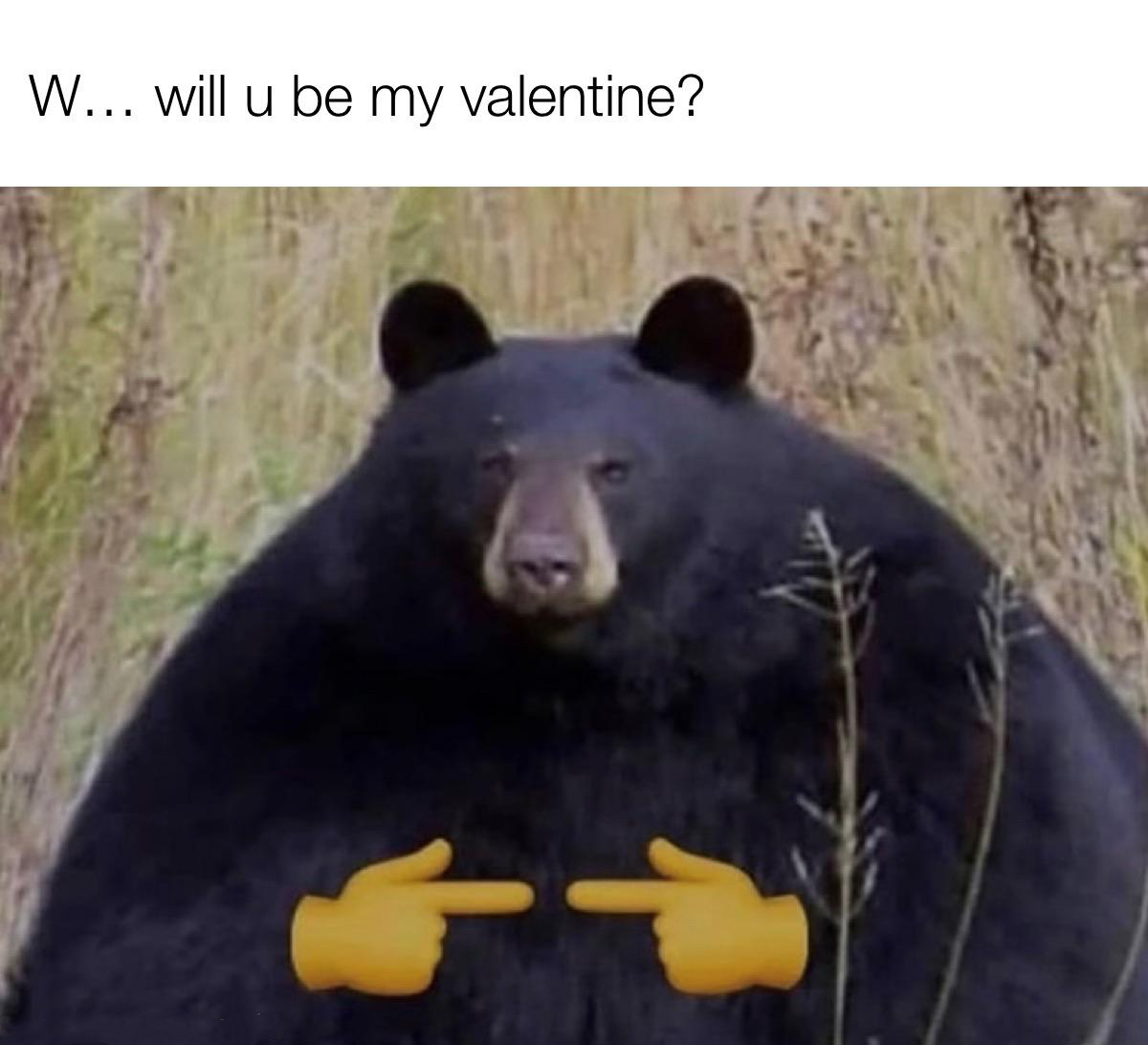 dank memes - funny memes - me bear - W... Will u be my valentine? ?