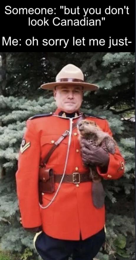 dank memes - funny memes - mountie with beaver - Someone