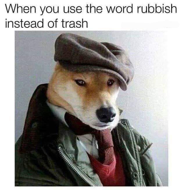 dank memes - funny memes - well dressed dogs - When you use the word rubbish instead of trash