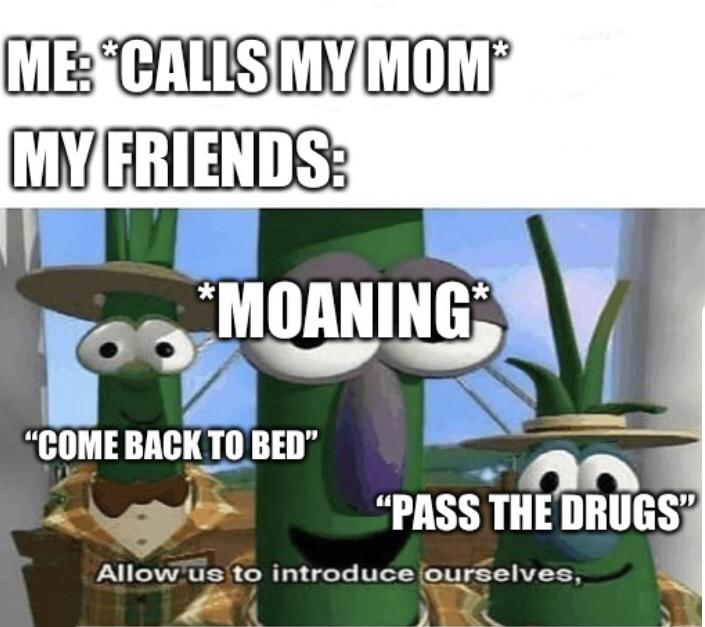 dank memes - funny memes - allow us introduce ourselves meme - Me Calls My Mom My Friends Moaning