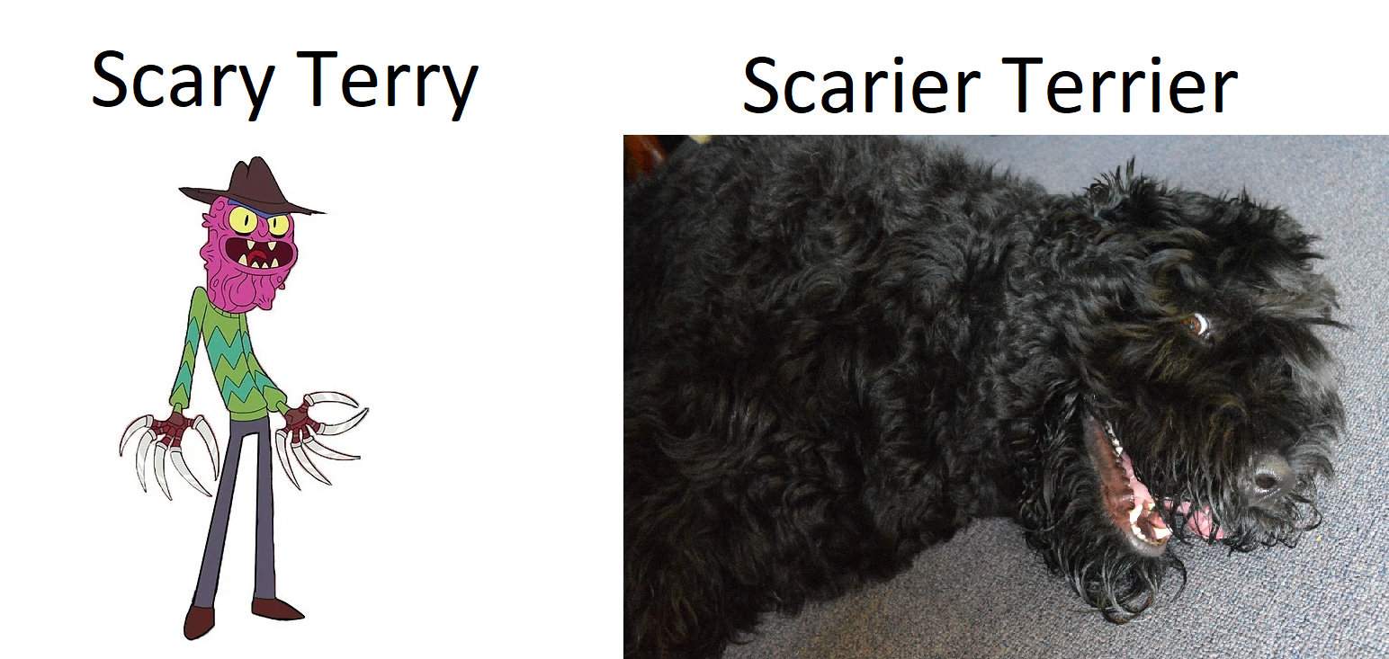 dank memes - funny memes - dog - Scary Terry Scarier Terrier