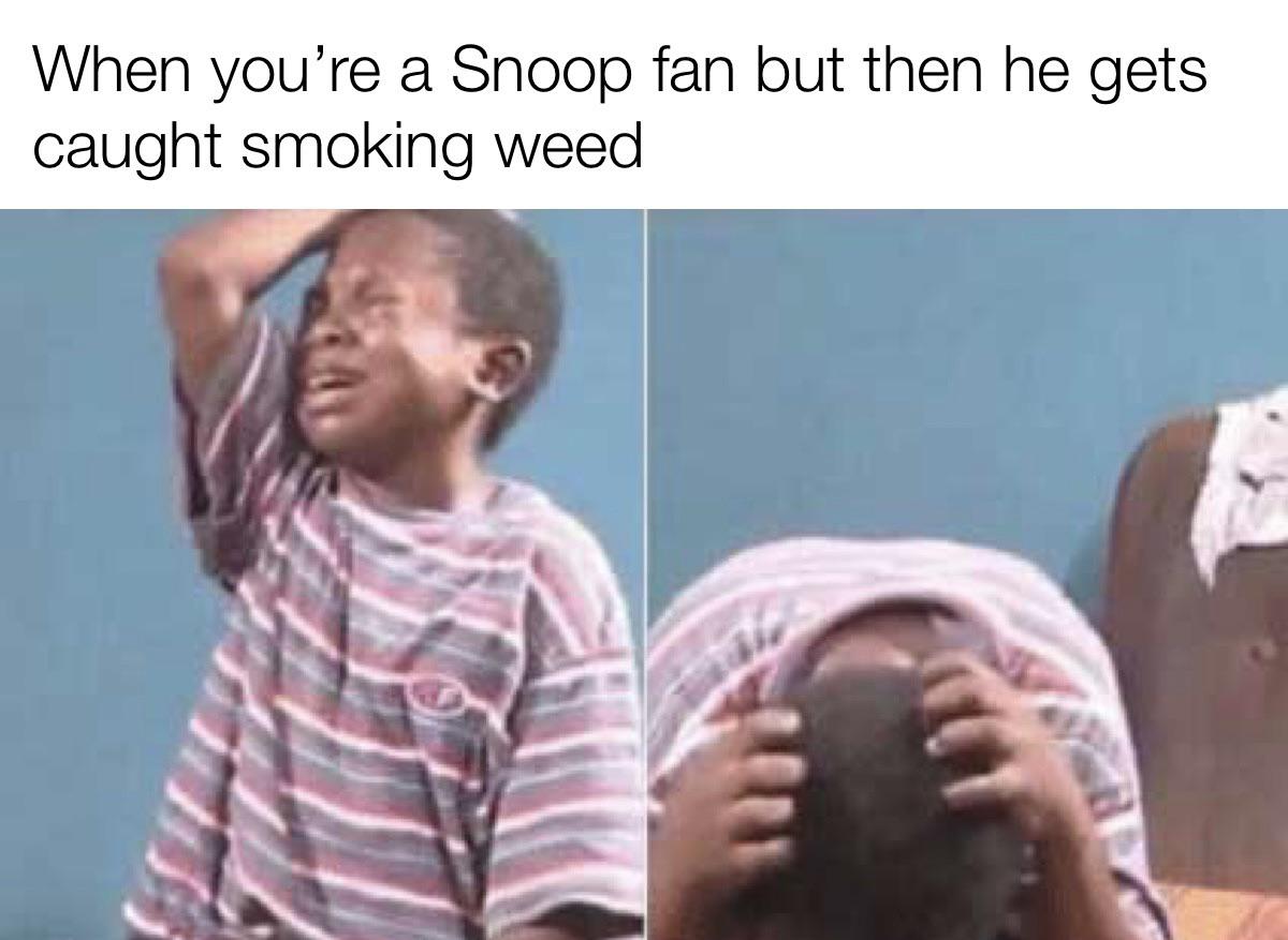 dank memes - funny memes - poop closet - When you're a Snoop fan but then he gets caught smoking weed