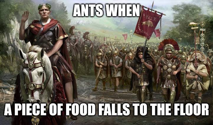 dank memes - funny memes - rome soldier - Ants When Legx 30000 A Piece Of Food Falls To The Floor
