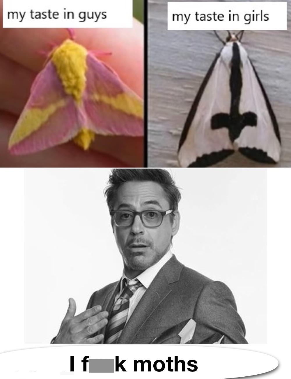 dank memes - funny memes - rosy maple moth - my taste in guys my taste in girls If k moths