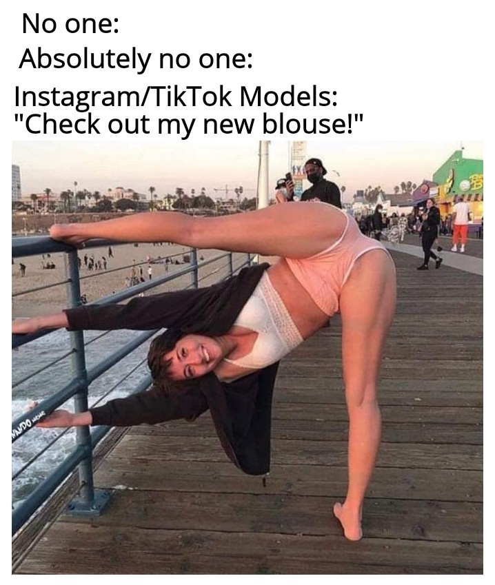 dank memes - funny memes - thigh - No one Absolutely no one InstagramTikTok Models "Check out my new blouse!" Mando Wewe