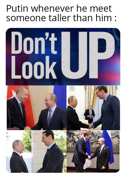dank memes - funny memes - business - Putin whenever he meet someone taller than him pont Up Look