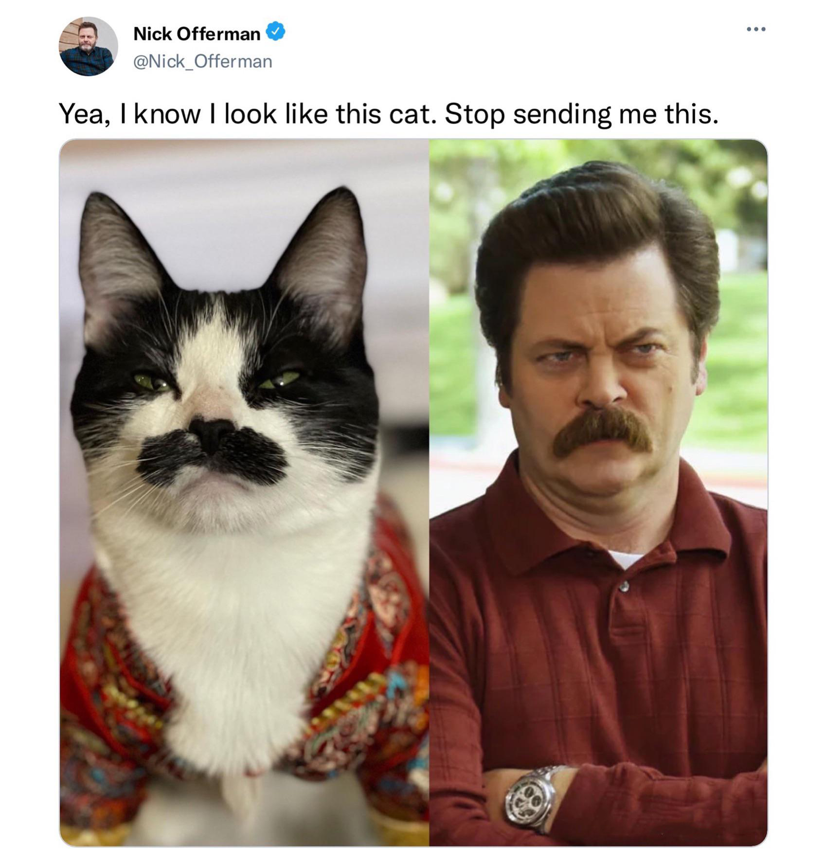 dank memes - funny memes - nick offerman fremulon - Nick Offerman Nick_Offerman Yea, I know I look this cat. Stop sending me this.