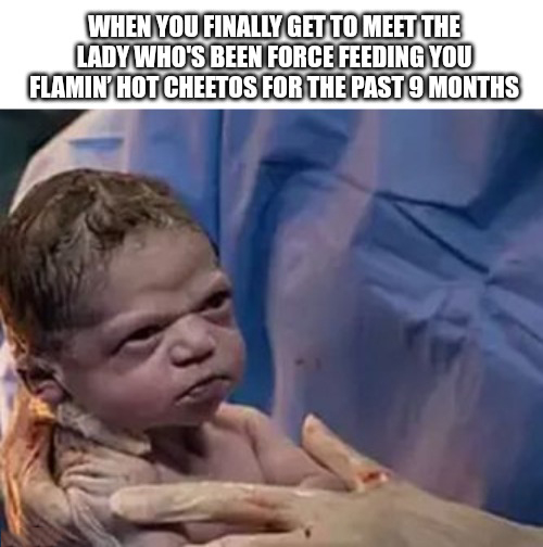 dank memes - funny memes - grumpy baby - When You Finally Get To Meet The Lady Who'S Been Force Feeding You Flamin' Hot Cheetos For The Past 9 Months
