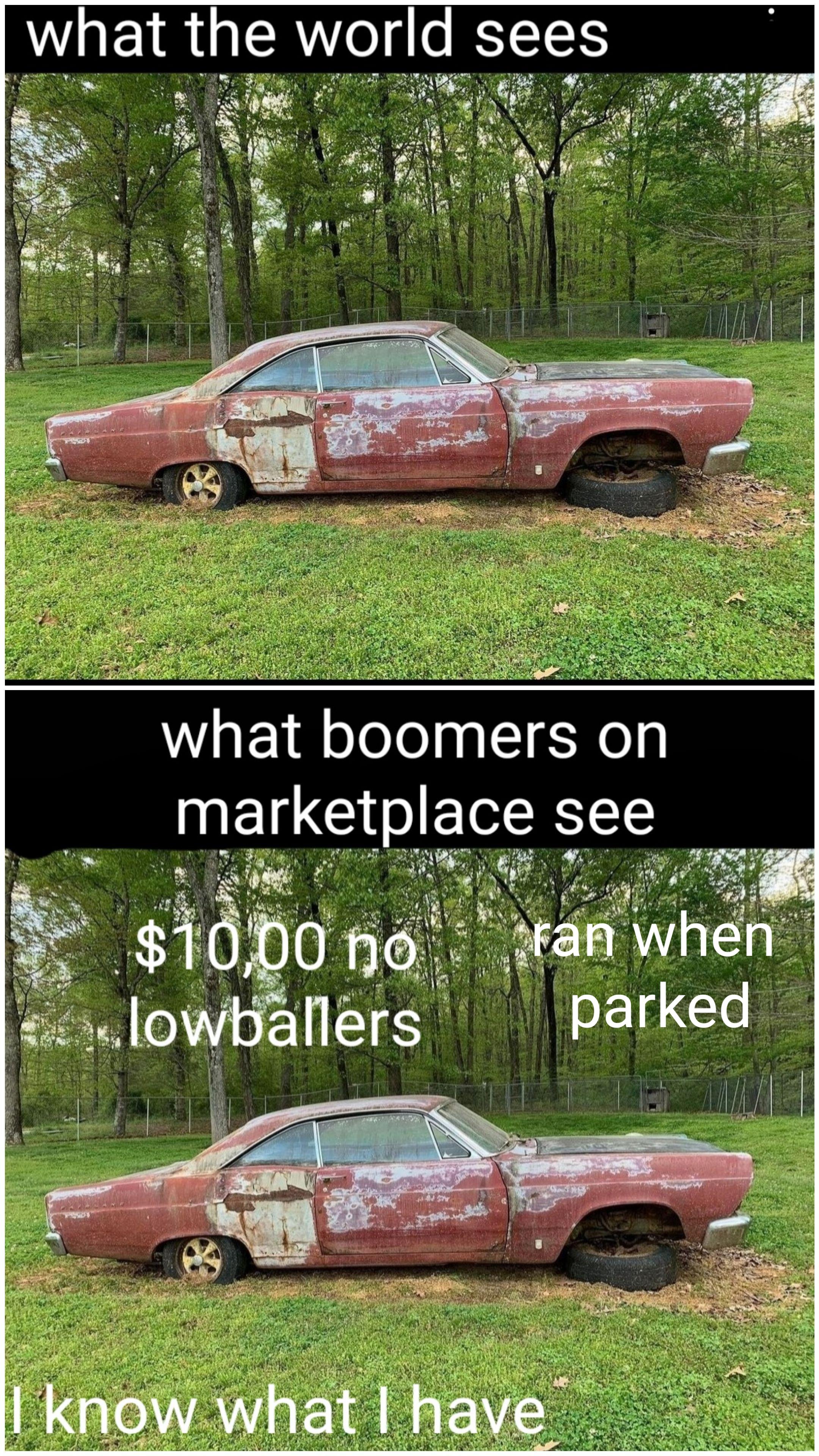 dank memes - funny memes - grass - what the world sees what boomers on marketplace see $10,00 o lowballers Fan when parked I know what I have