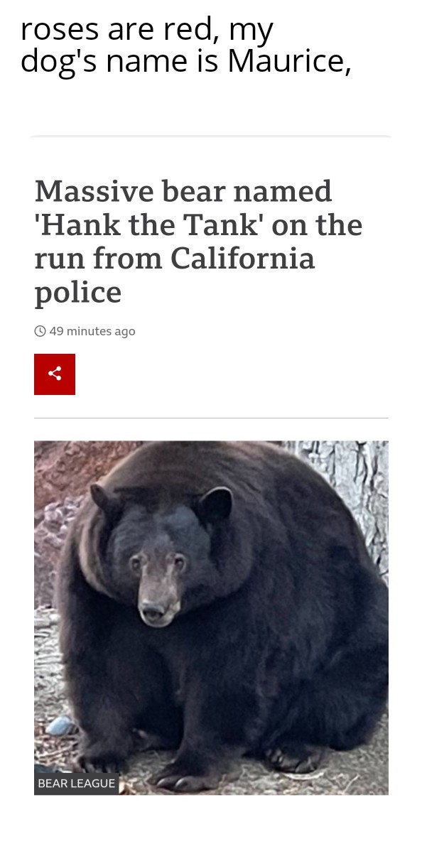 funny and dank memes  - fauna - roses are red, my dog's name is Maurice, Massive bear named 'Hank the Tank' on the run from California police 49 minutes ago 12 Bear League