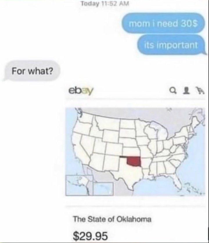 funny and dank memes  - state of oklahoma ebay - Today mom i need 30$ its important For what? ebay Qi The State of Oklahoma $29.95