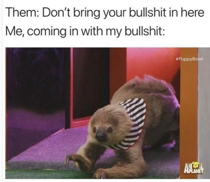 dank memes - funny memes - don t come in here with that bs sloth - Them Don't bring your bullshit in here Me, coming in with my bullshit Nol Hplanet